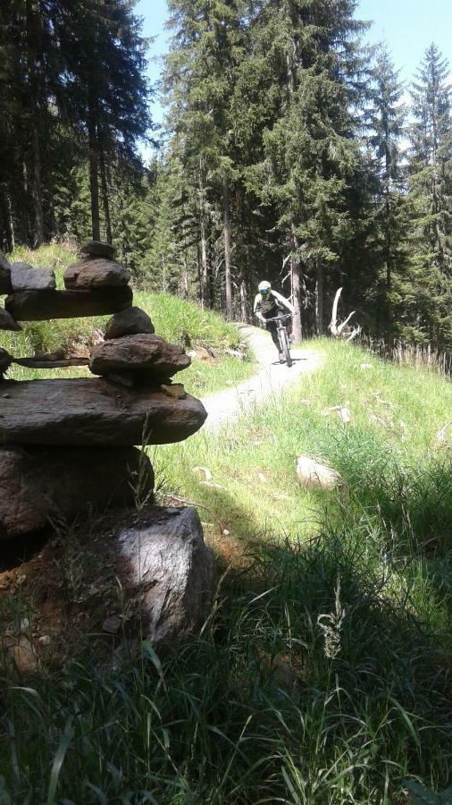 Ferienwohnungen Fryba Bad Kleinkirchheim Eksteriør billede